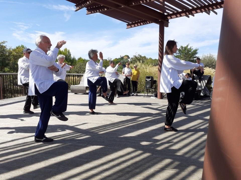 Forum taichi 2 2022