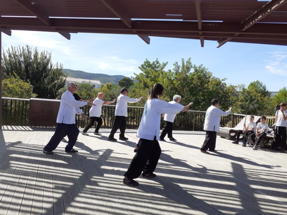 Forum taichi 3 2022
