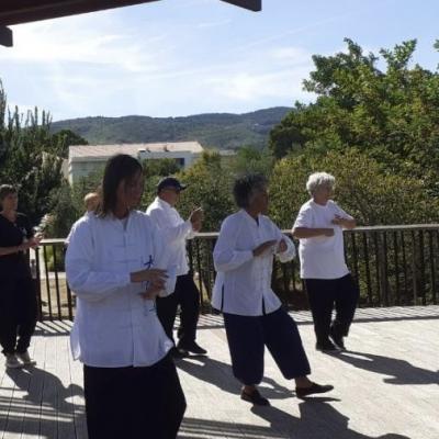 Forum taichi 7 2022