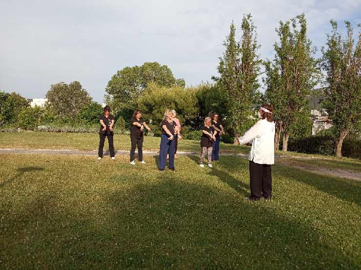 sem19 taichi
