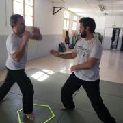 Qin Na : le pied dans l'cerceau 
