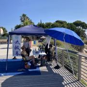 pause parasol