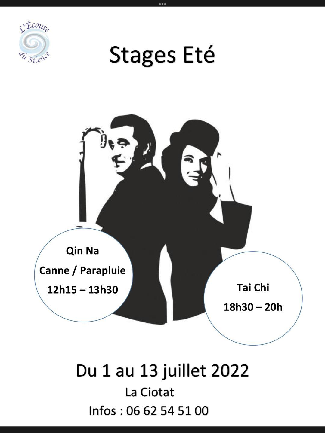 Stage ete 2 activites
