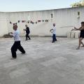 Img 4515