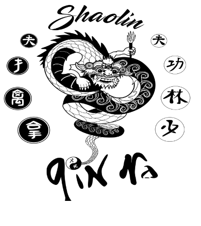 Qinna logo 1