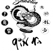 Qinna logo 1