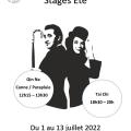 Stage ete 2 activites