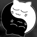 Tcc chat k